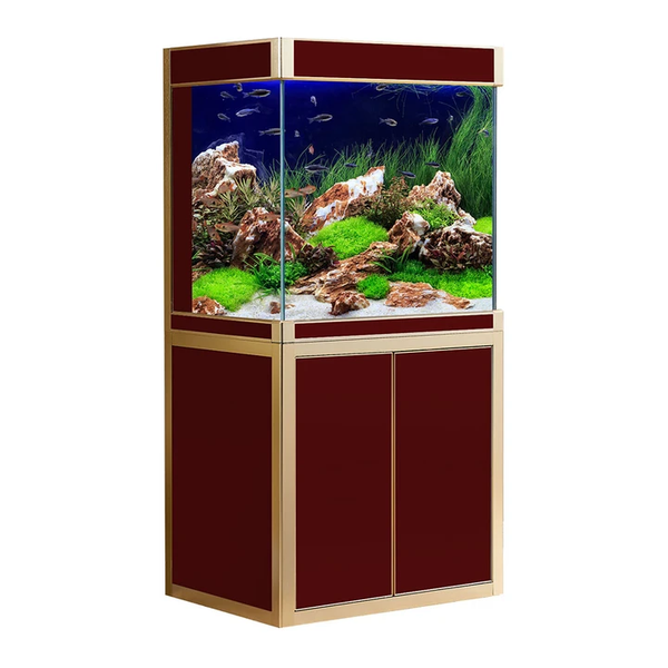 Multi Aquarium Accessories, Packaging Type: Depends, Size: Vary at Rs  100/piece in Koderma