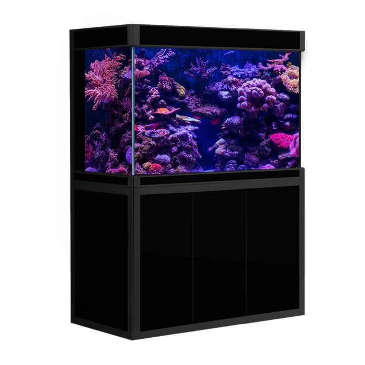 175 gallon fish clearance tank