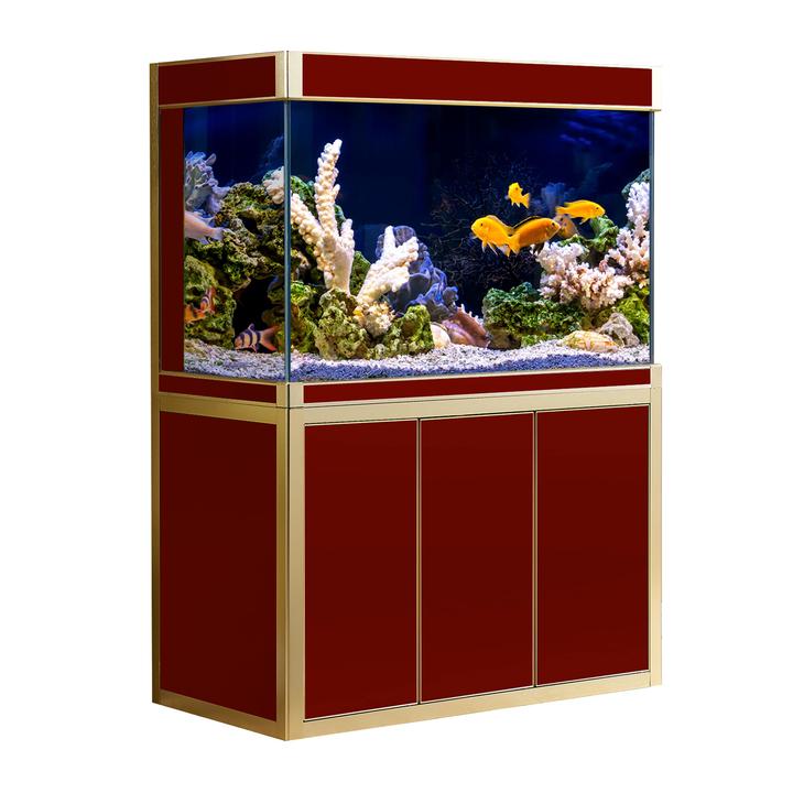 Home Decor Fish Aquarium at Rs 500/piece